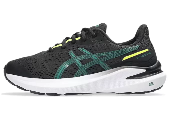 GT-1000 13 GRADE SCHOOL GT-1000 13 GRADE SCHOOL