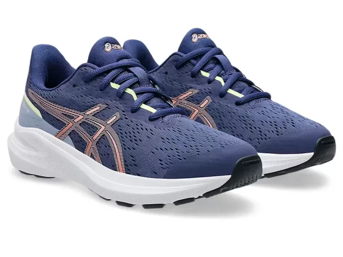 GT-1000 13 GRADE SCHOOL GT-1000 13 GRADE SCHOOL