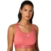 ROAD COMPRESSION BRA ROAD COMPRESSION BRA